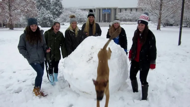 UNCA Snow